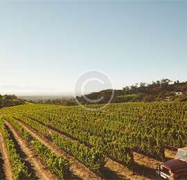 Farm Jobs in Australia