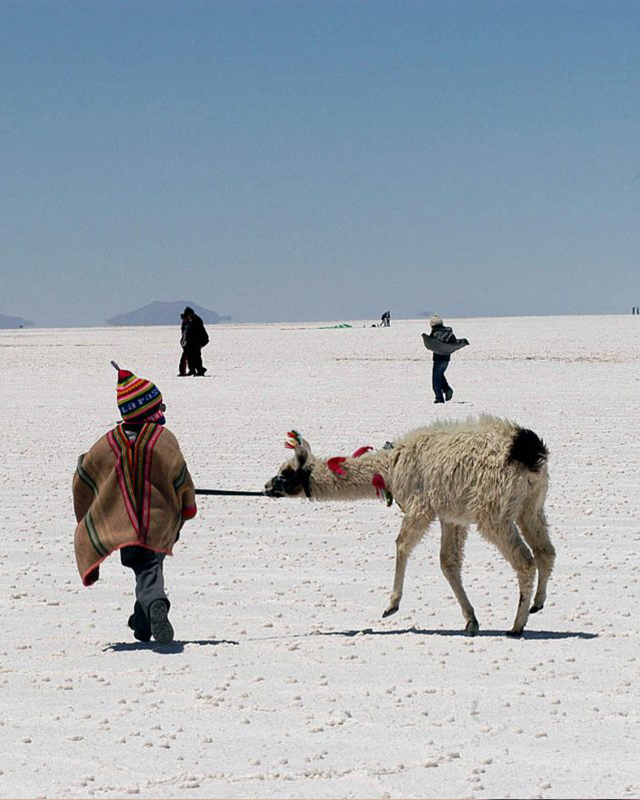 le Guide d'expatriation en Bolivie